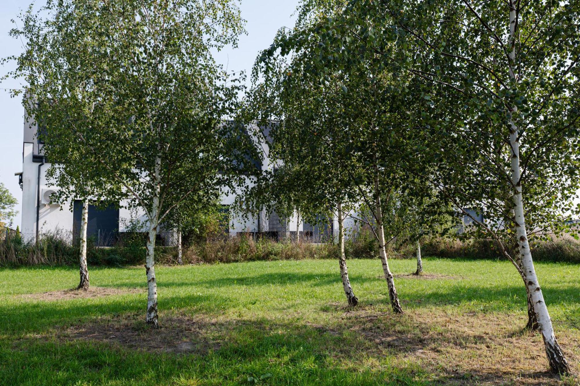 Nowe Apartamenty Ostoja - Nad Baltykiem - Cisza I Piekno Natury Zastan 외부 사진